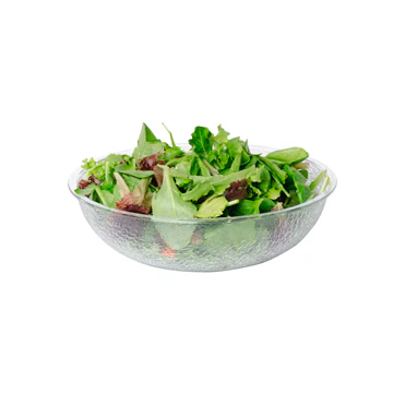 10'' - cambro bowl
