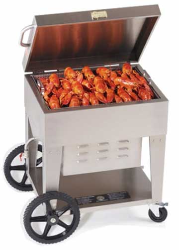 Steamer au propane